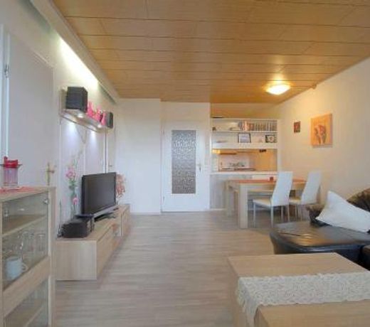 Apartment 527