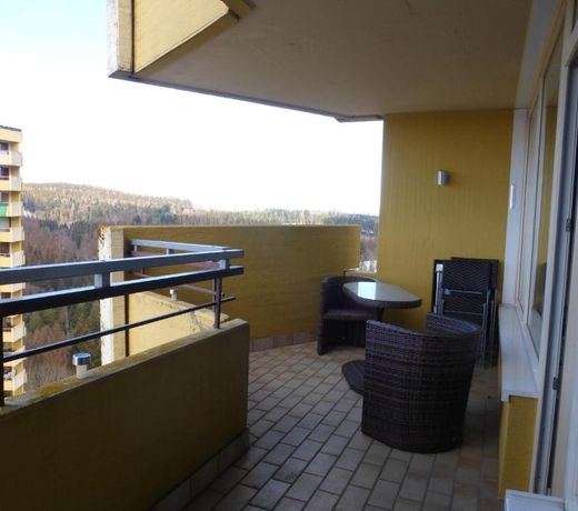 App 350 mit Brockenblick