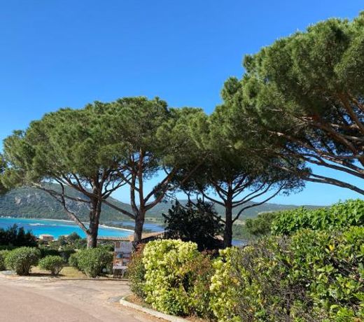Le village de l'hacienda - Marina di santa Giulia- Porto-Vecchio