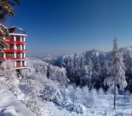 Evolve Nature Resort, Baldeyan, Naldehra, Shimla