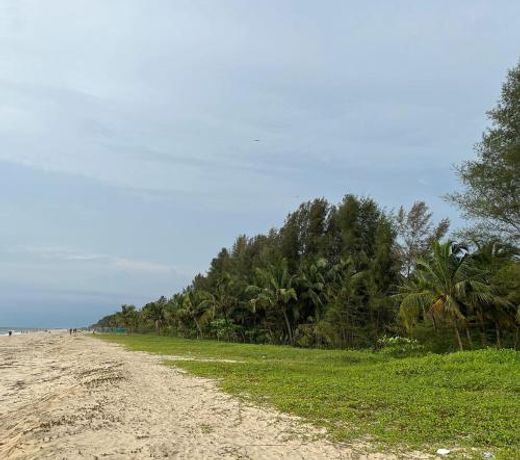 Marari Beach Villas