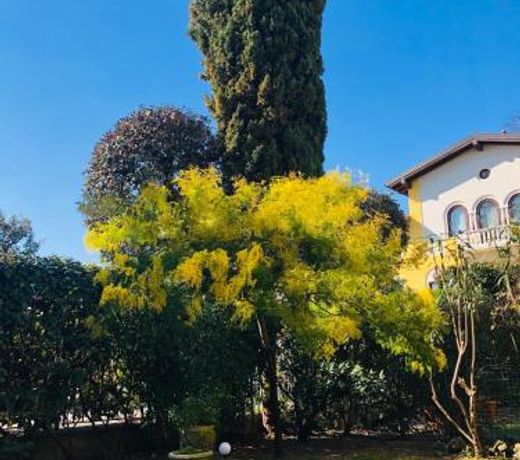 Casa Mimosa