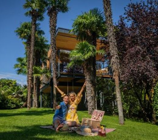 TreeLodgy, The Tree House