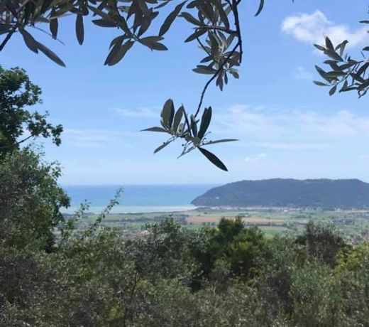 A CASA DI OLIVO