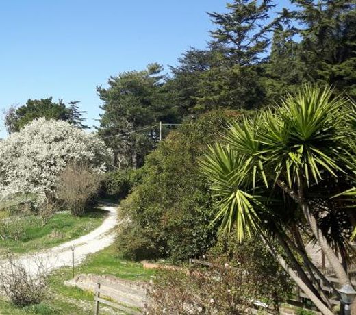 Confortevole monolocale in villa