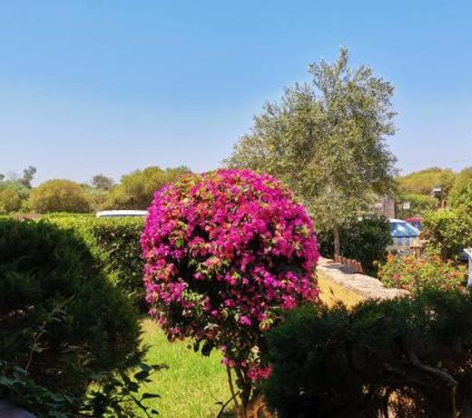 Appartamento con Giardino 1/15 - Porto Pollo