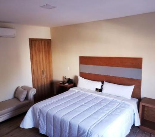 HOTEL PLAZA ALLENDE