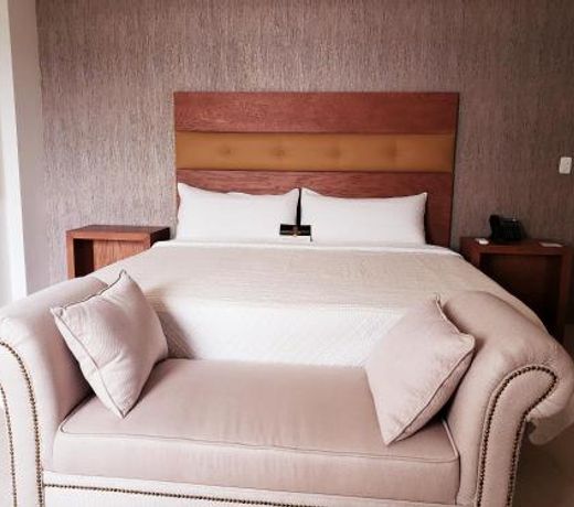 HOTEL PLAZA ALLENDE