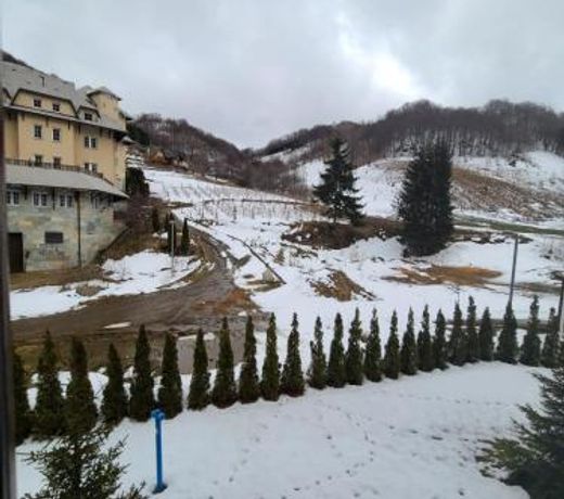 BELI VUK - BrzeÄe, Kopaonik
