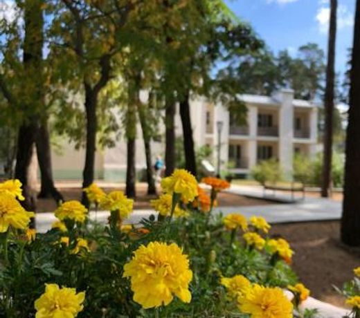 Ð³Ð¾ÑÑÐ¸Ð½Ð¸ÑÐ° ÐÐ Ð¢Ð°Ð¼Ð±Ð¾Ð²ÐºÑÑÐ¾ÑÑ