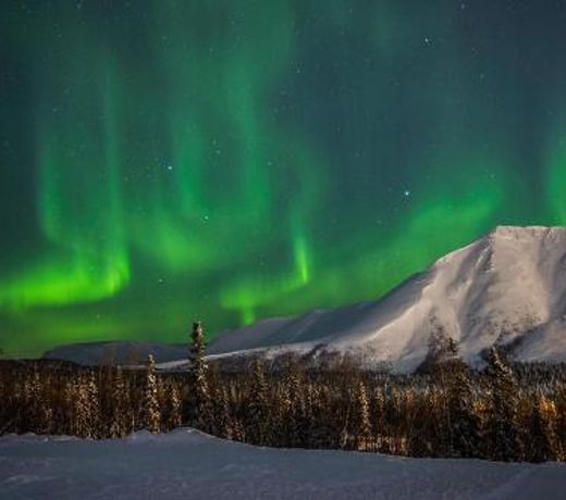 Artic-apartment