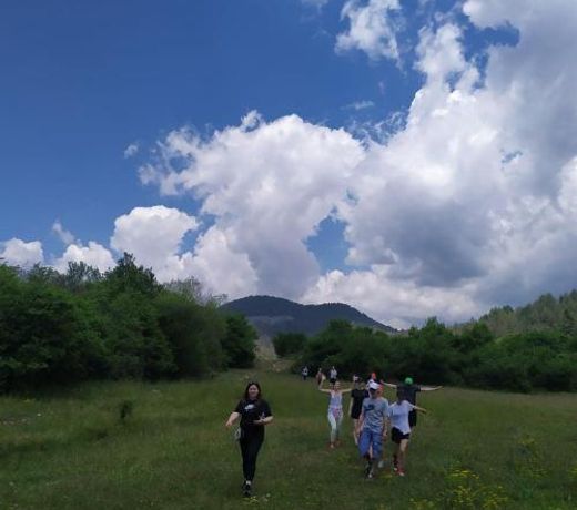 Camping Farm Shelegur