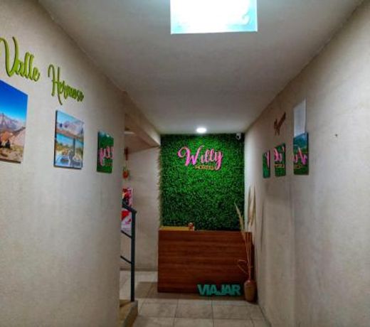 Willy HOSTEL