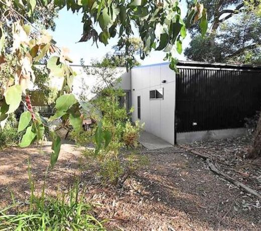 Banksias