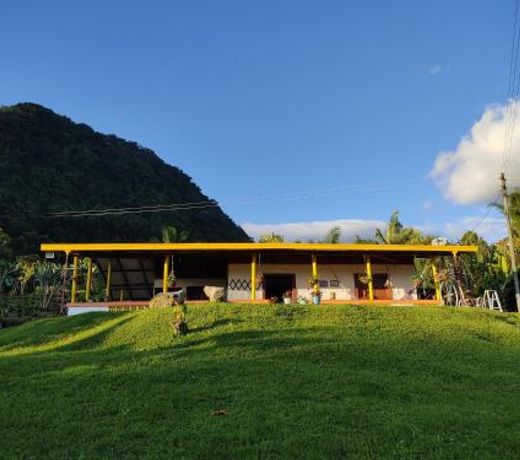 Finca La Antigua. finca tradicional Cafetera