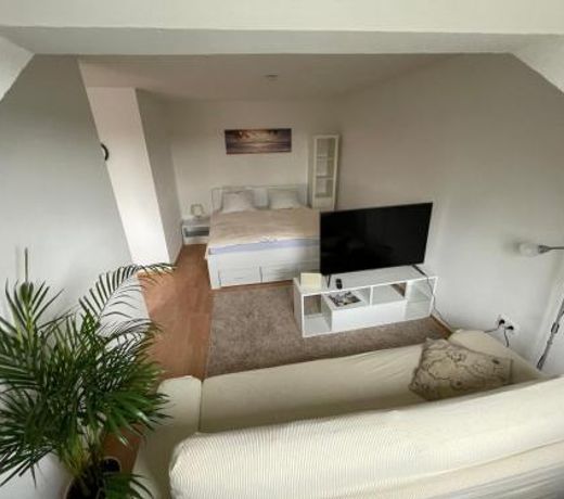 1,5 Zimmer Apartment, 38,5 qm, Multimedia TV, Uni, HBF