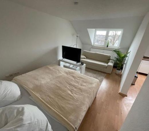 1,5 Zimmer Apartment, 38,5 qm, Multimedia TV, Uni, HBF
