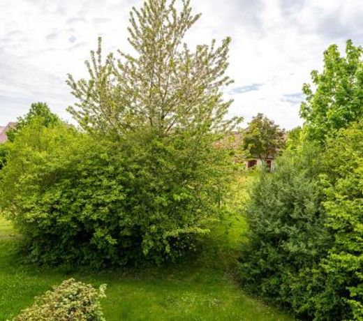 Feriendorf Rugana - Komfort Appartement mit 1 Schlafzimmer B26
