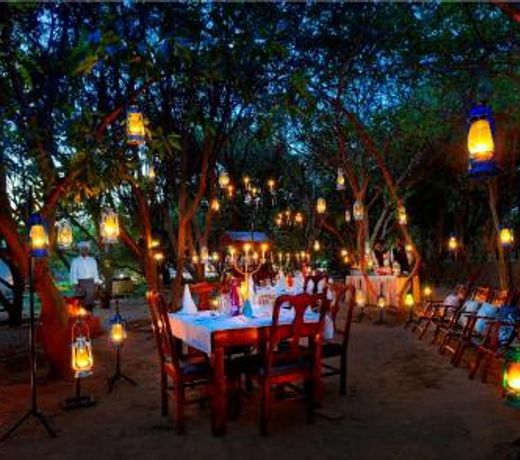 The Aranya Nature Resort