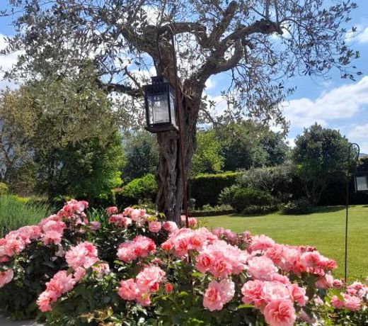 Villa la provenzale