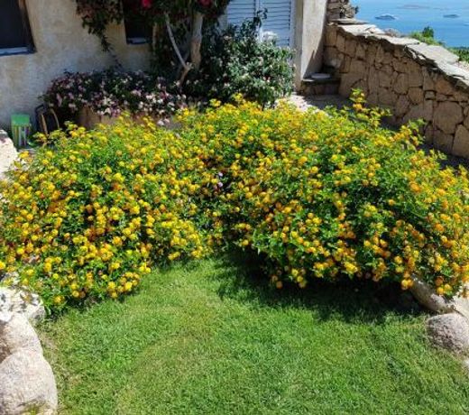 Sardinia Family Villas - Villa Carmen with sea view and pool
