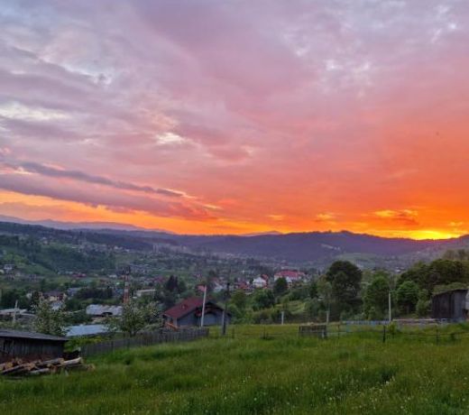 ÐÑÐ°ÑÐ²Ð¸Ð´