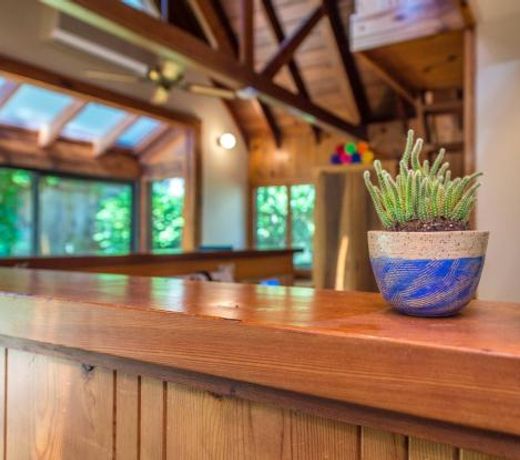 Tree Fort! Redwoods! Hot Tub!! Fire Table!! Google Smart Home!! Fast WiFi!! Dog Friendly!