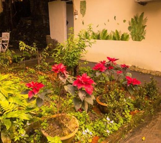 MEMORY HOSTEL
