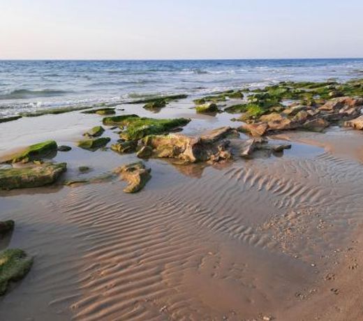 Prince Palace Netanya South Beach