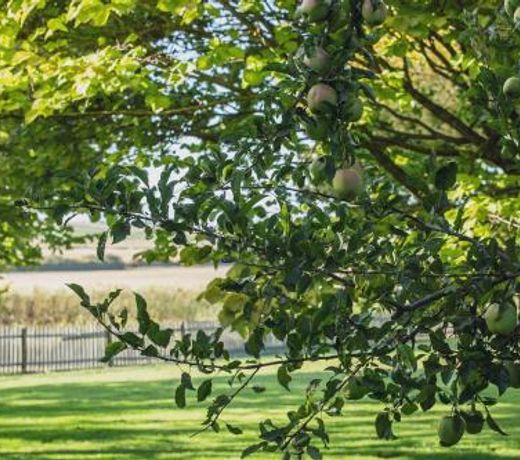 CLAYFIELD HOMESTEAD - rustic country accommodation