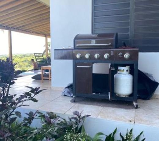 Rincon Harmony Guesthouse