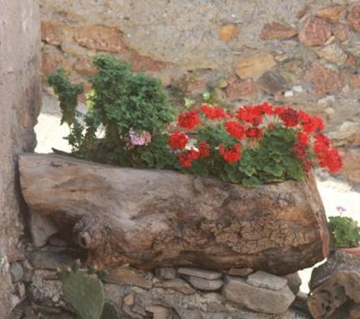 Casa Capitana