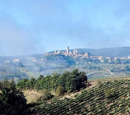 Azienda Agricola Polveraia