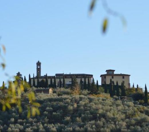 Azienda Agricola Polveraia