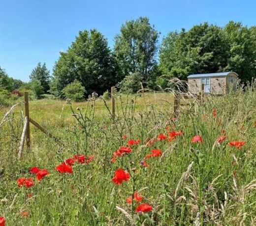 The Shepherd's Hut