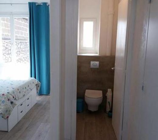 Appartement sur lâile de Saumur