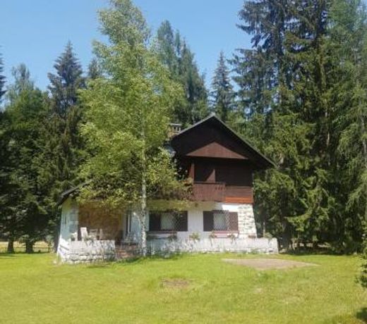 Vila Krpan Kranjska Gora