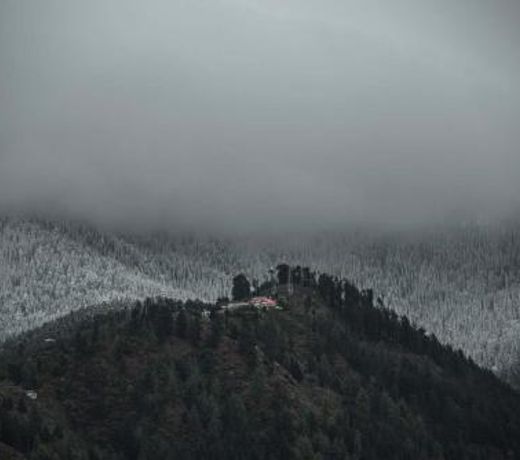 Doc Hardy's Cottage by Vista Rooms