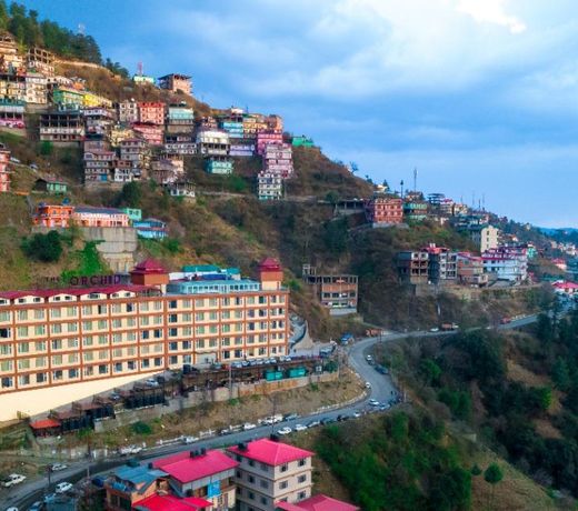 The Orchid Shimla