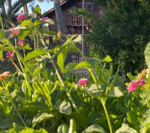 Villa Rosemary