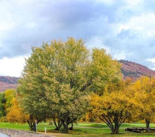 Crazy Horse Retreat