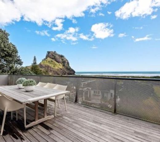 Piha Palace with ocean views