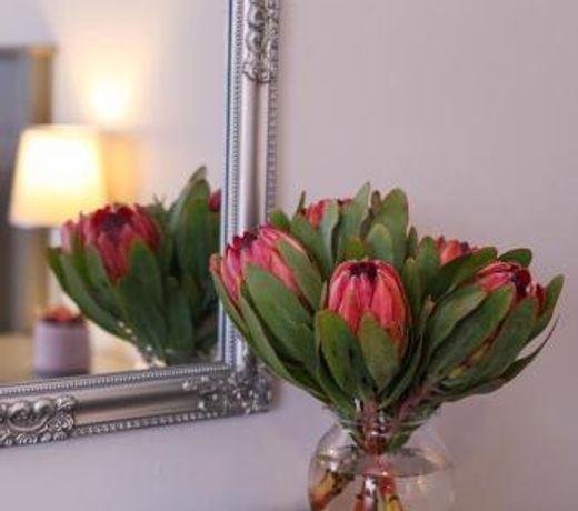 Brookshill - Protea suite