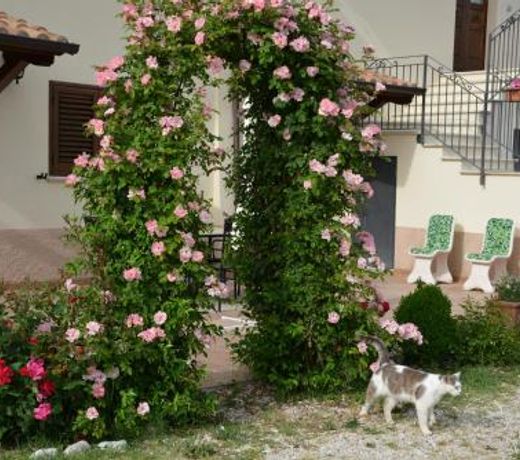 Country House Nonna Alda