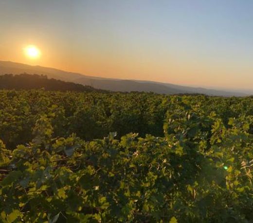 Dimora Le Colline