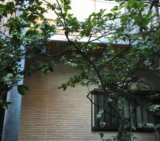 Lucy's Houseæ¨ªæµä¸­è¯è¡ House3