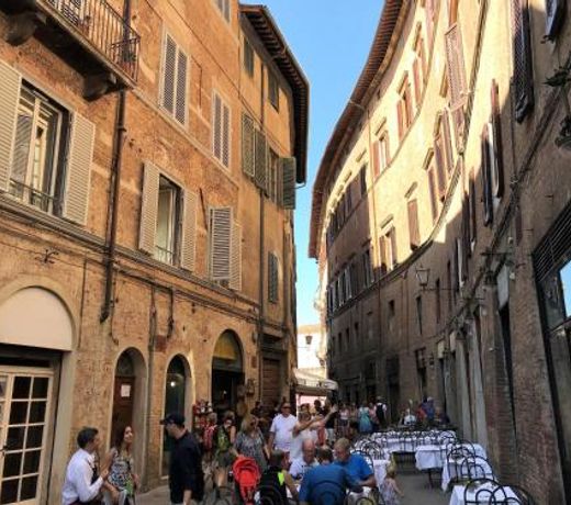THE BLUE LODGE-cozy flat close to Piazza del Campo
