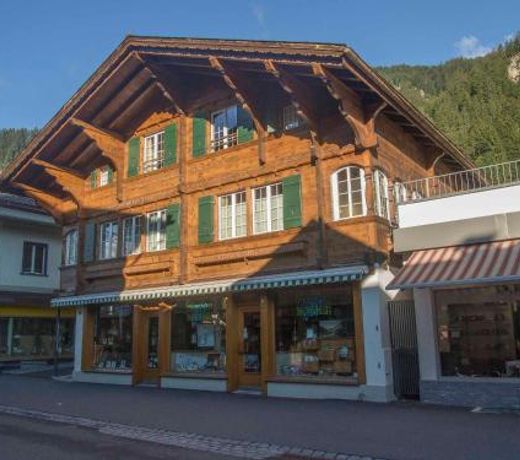 Im Zentrum OG