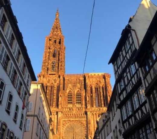 Appartement du Rhin