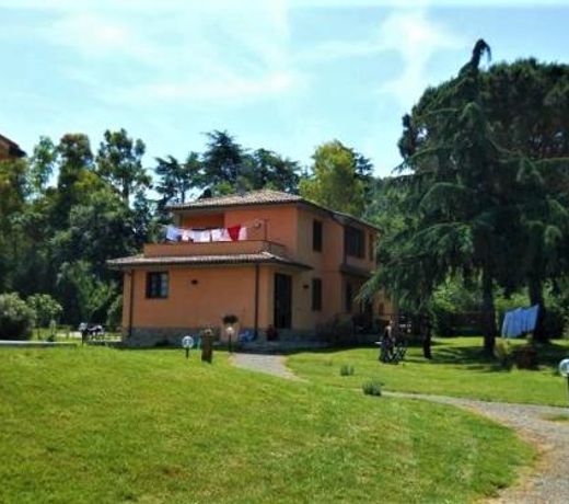 Podere 269